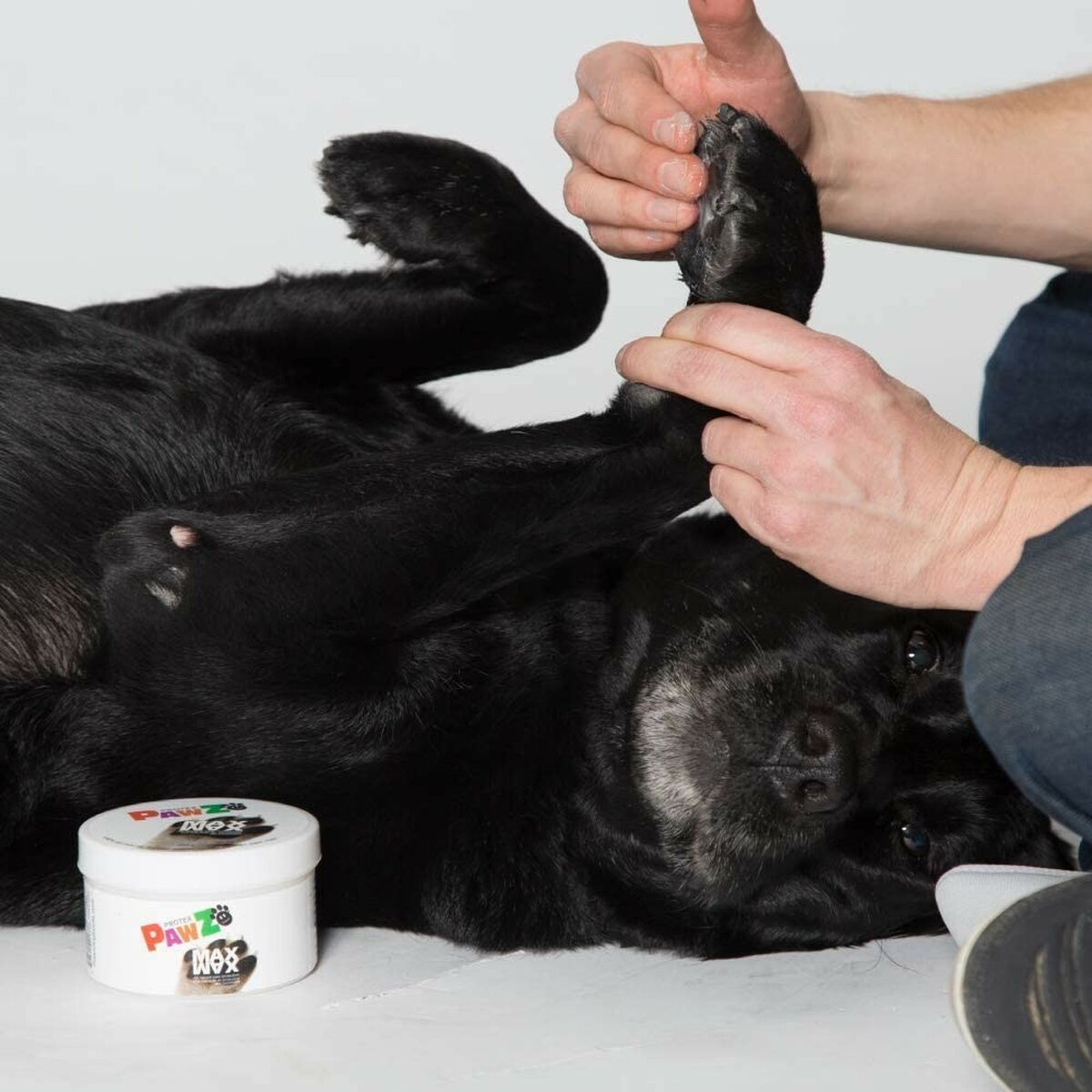 V4H420793D80DDEB706C5756DAD9A7D569CR5595059P5