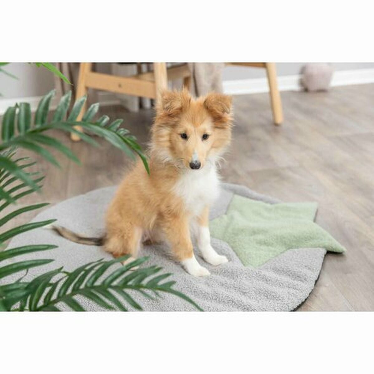 V6H44E63E8810E85F113D78EF00A4D3ED41R7446982P10