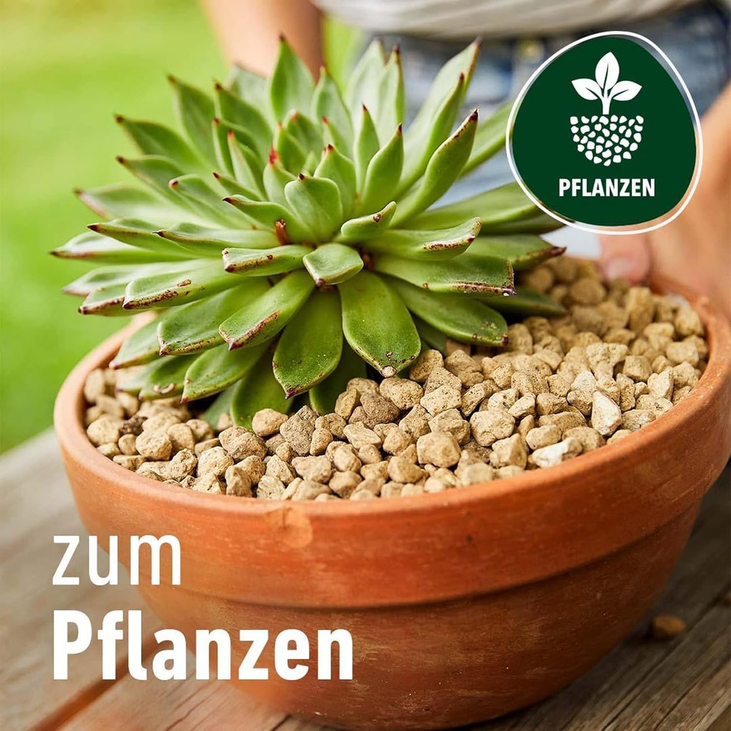 COMPO BIO GRANUPLANT® Drainage- und Pflanzgranulat – 100% natürlicher Bimsstein – nachhaltige Alternative zu Blähton 40L