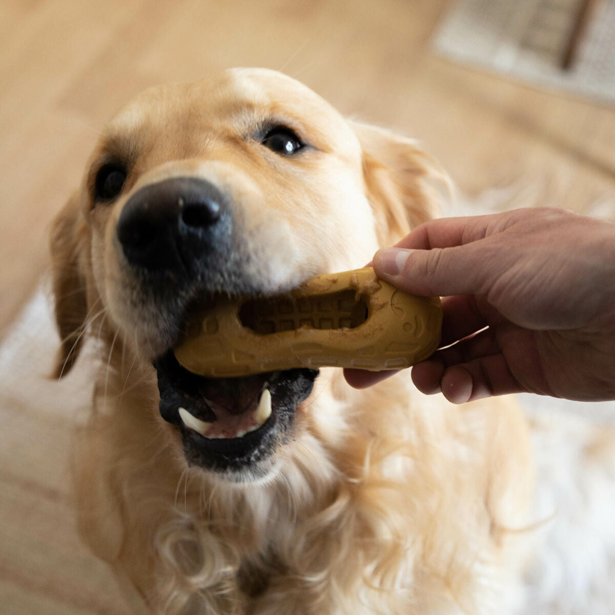 V4H87383F04608B2767E8936B985FD80DF9R5778894P3