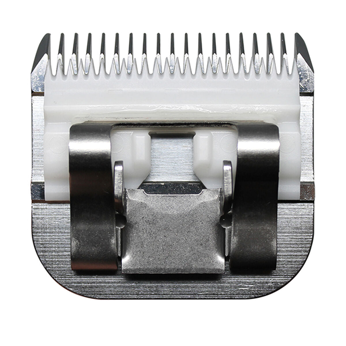 V4H4D7B9585DA488842E331481F72E3F631R5554754P4