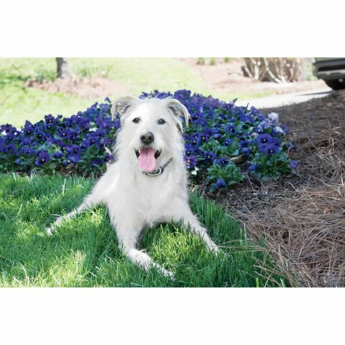 V4HED64785AF067A08268284CB13A6FA40DR5763546P6