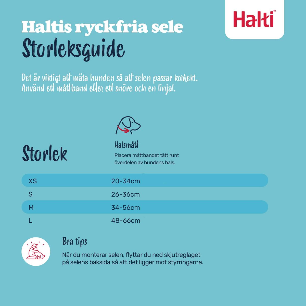 V3H6A2C0DB9F8C9660E3E411D4EF0636B58R7523513P5