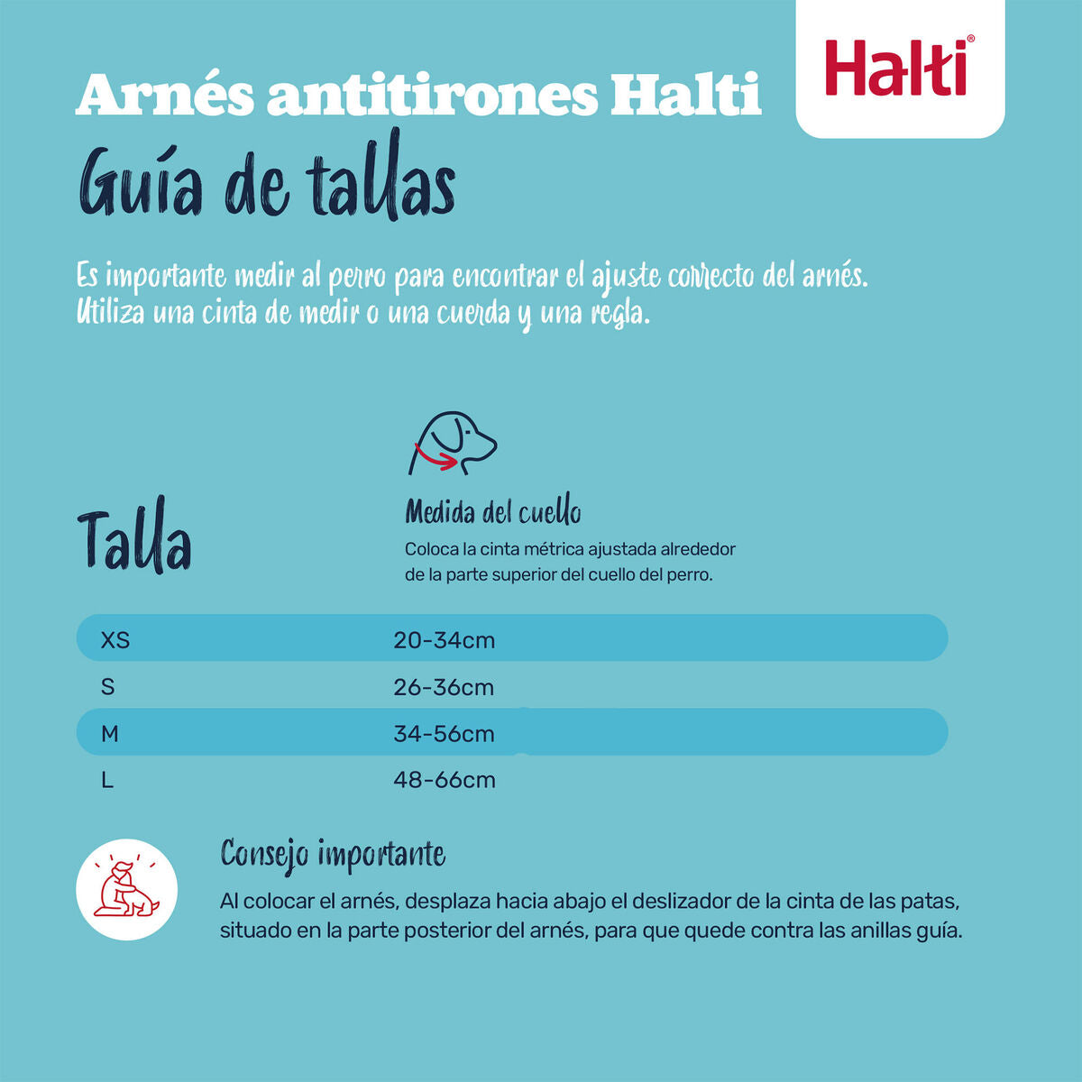 V3H2407AB9AE48990FB1ECFE113CCC37CB0R7523822P9