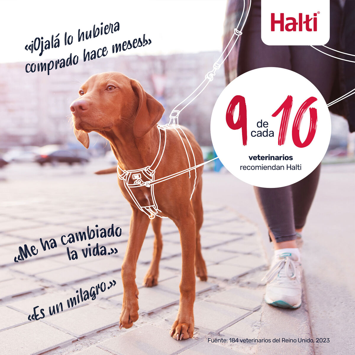 V3H9206BC93A2CDE6824A50C64B534DF965R7523530P10