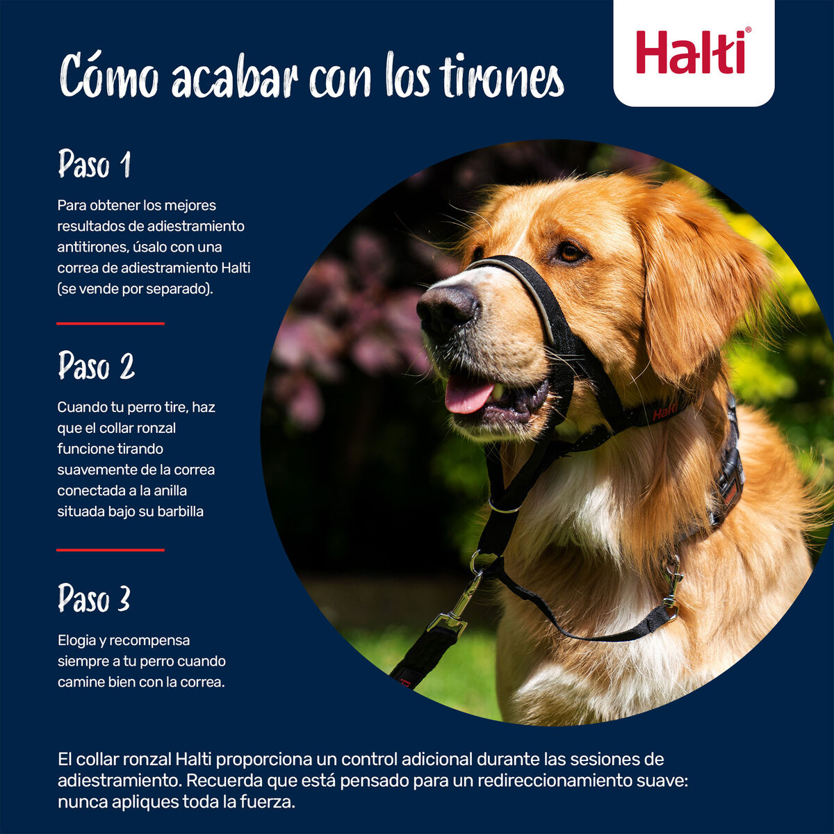 V3H5CDC4EAC6FBB742561D955AD57781043R7523933P3