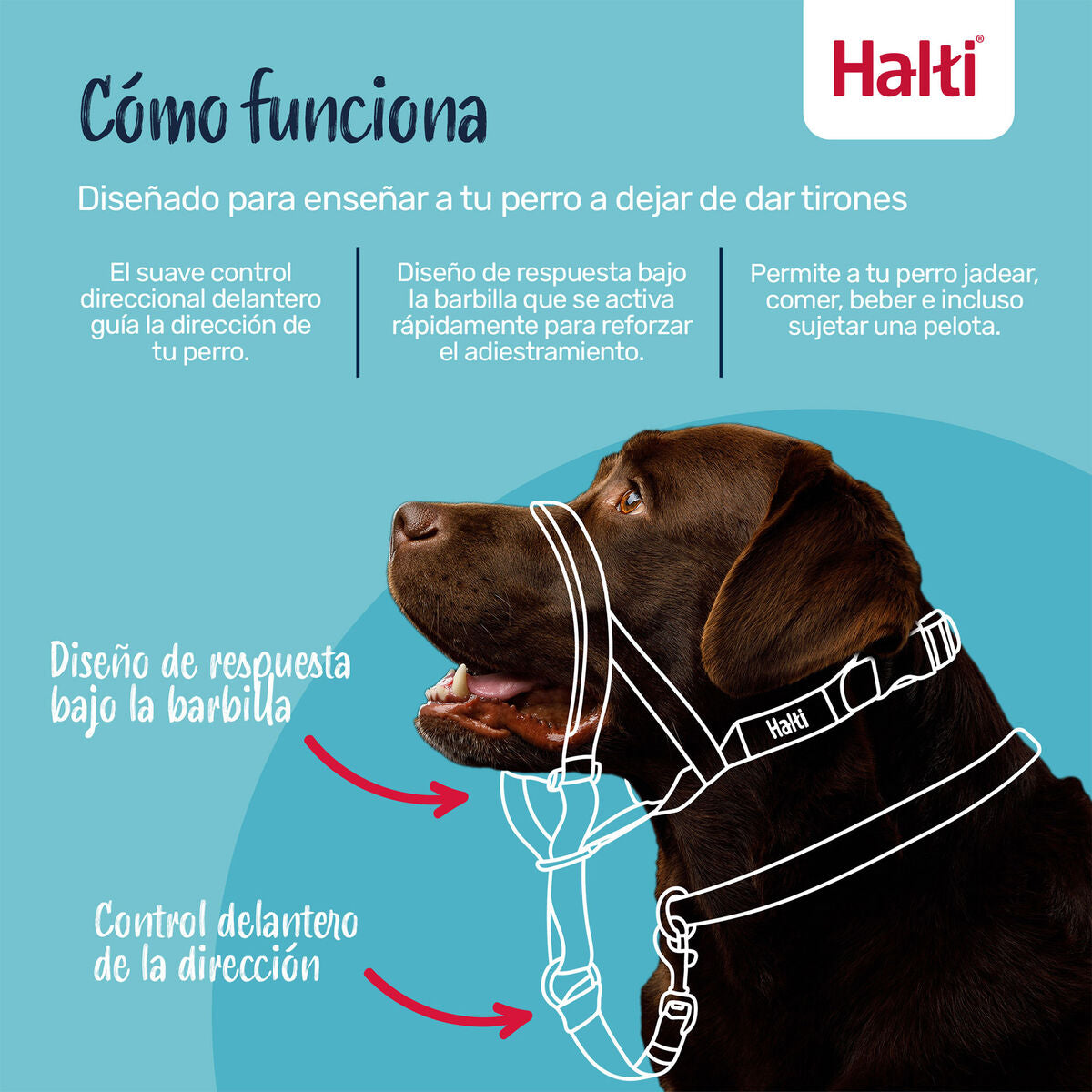 V3H7FB504A8EDF6BE7BD3813C84FDCD78A0R7523549P6