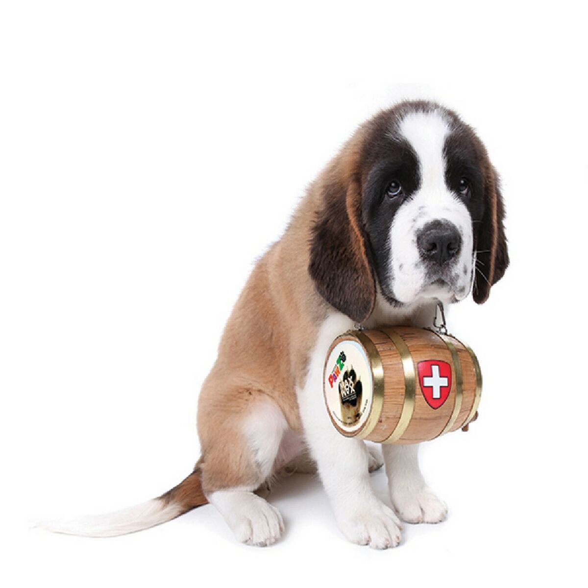 V4HE994011B29C24AD98C5E49B8B8464185R5595056P2