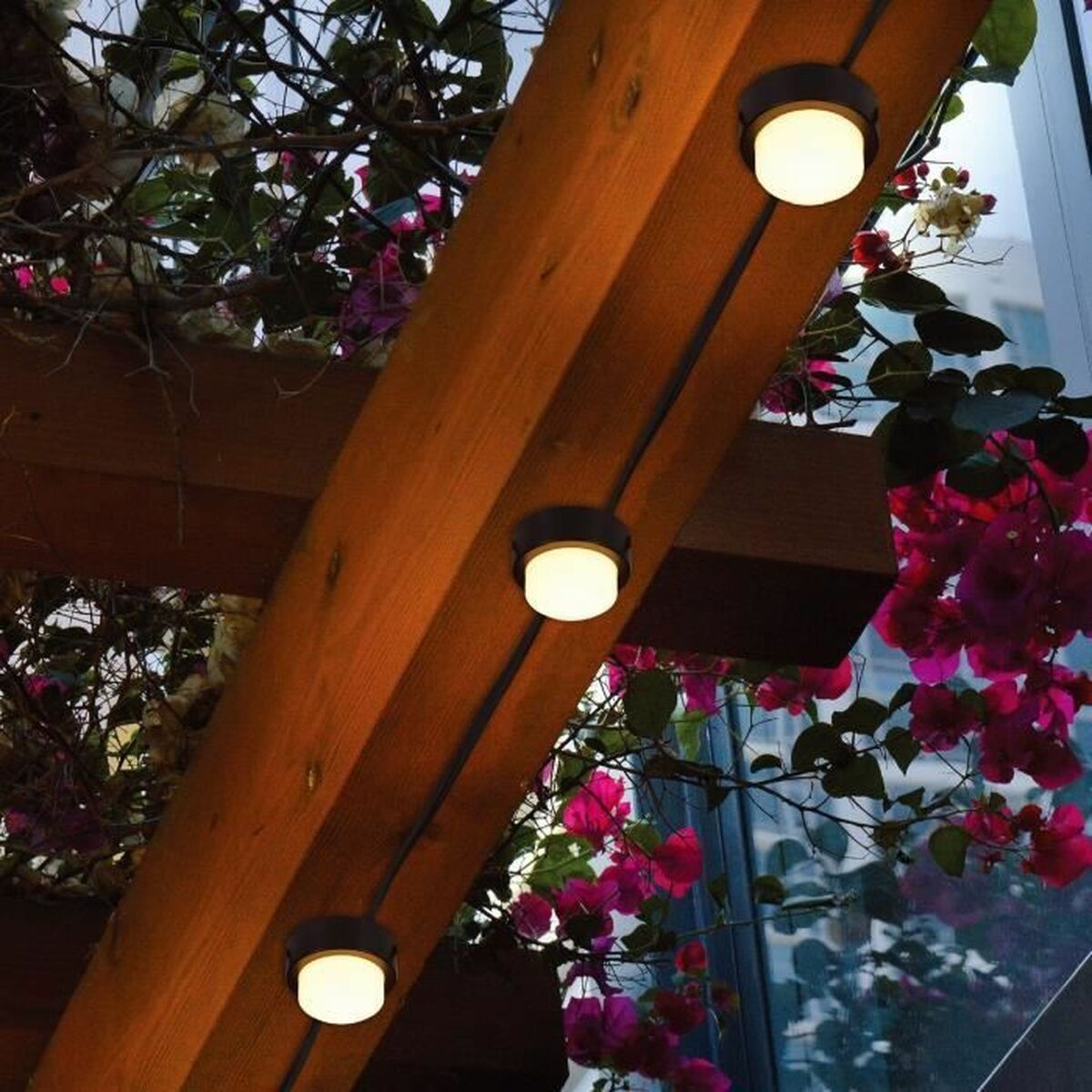 V5H38DB6D6F66B2B8DA4BCB6887DBAFA656R4483976P4