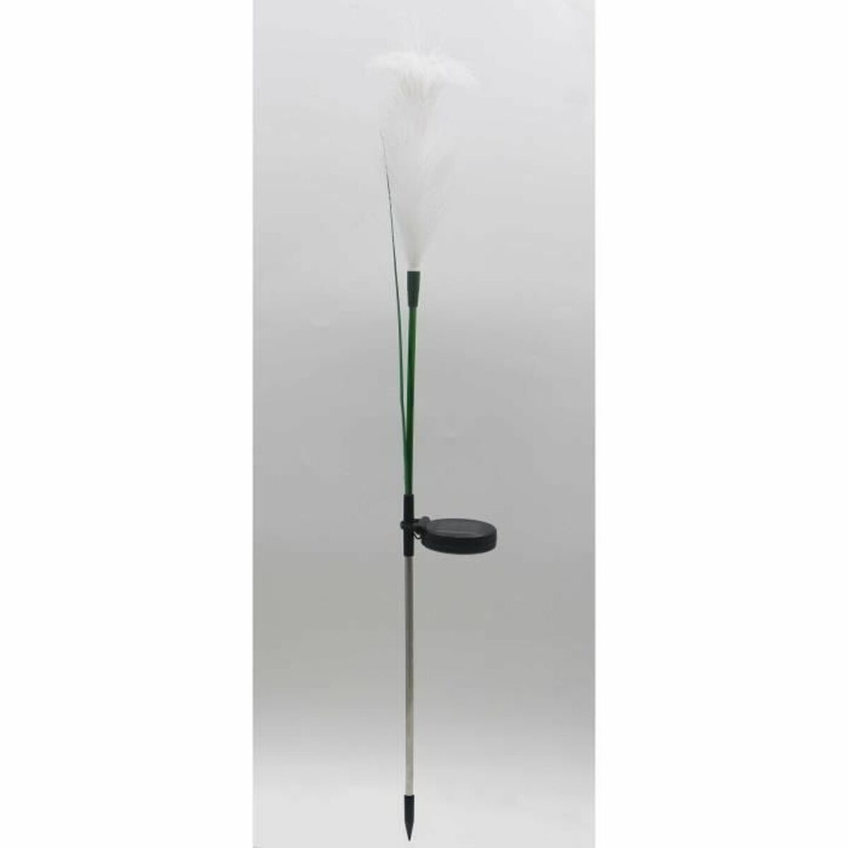 V5H081EDD81BB783B95196C55D68E3C01EBR5567694P2