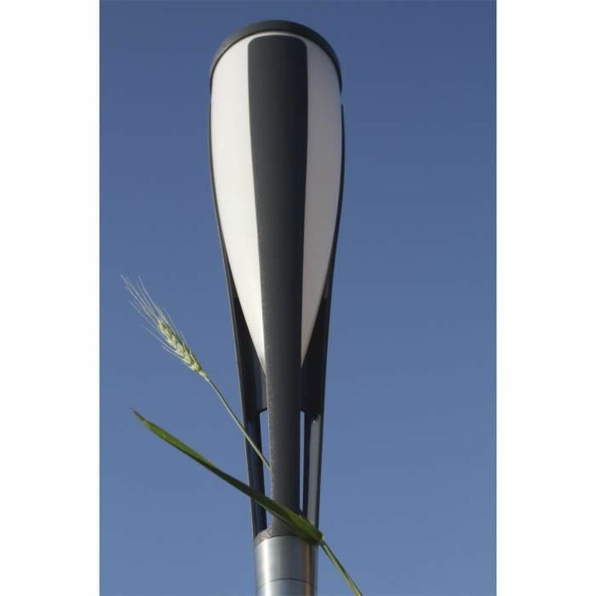 V5H91093CAF99DA9F32242E025AD3D51B85R5567716P3