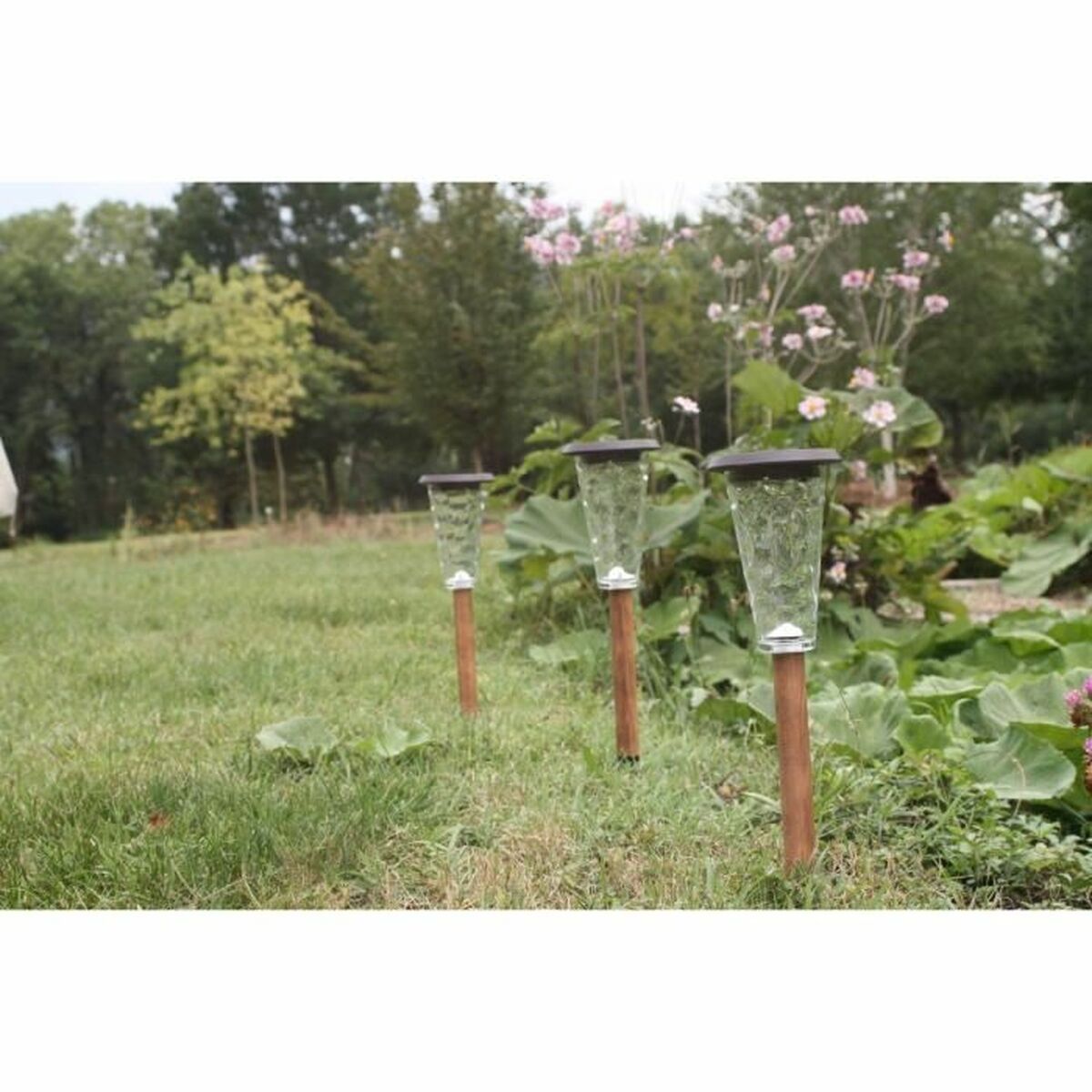 V5H08E88FCA7DFEFDA800F2A01142DD71CFR5567698P3