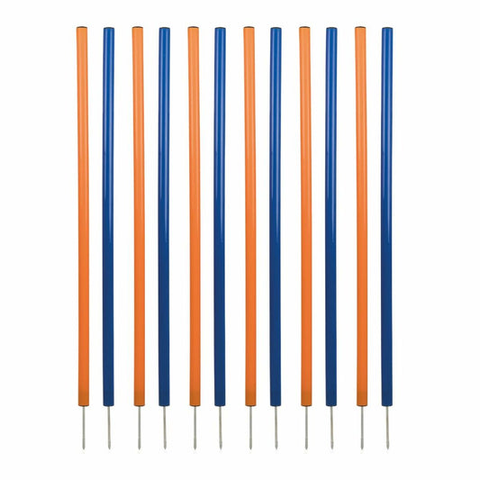 V4H0E1D33632766FA60CE1E5A698BCAF1E9R5763181P1