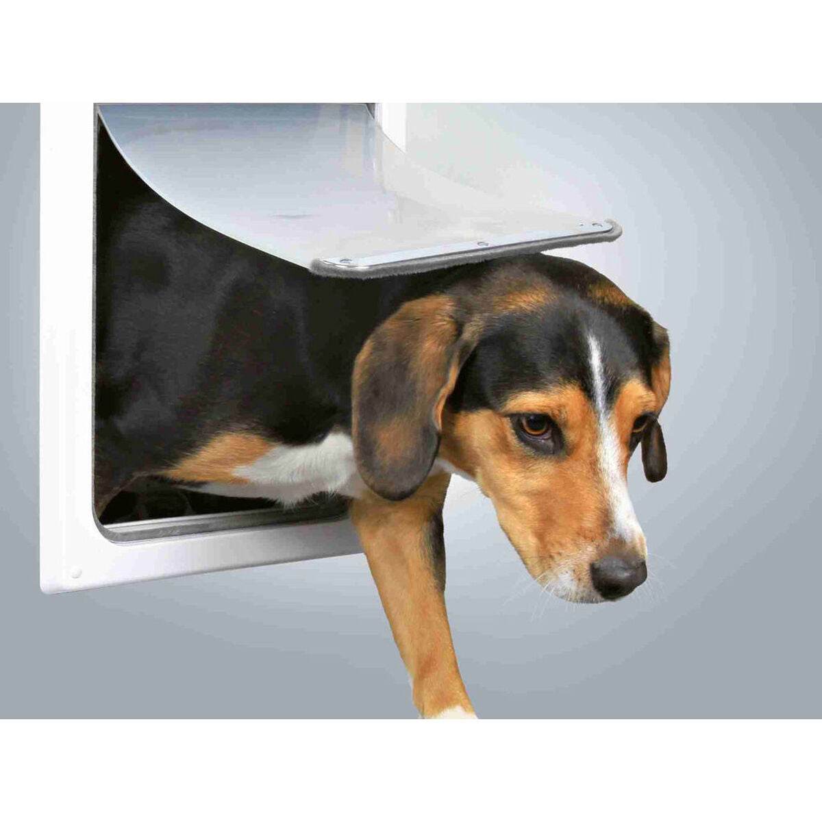 V5H5987C4B2A262A4BC32383B93BB31CDA4R7444383P5