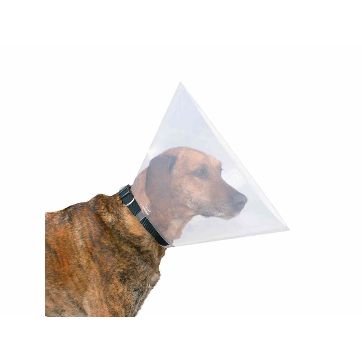 V6H88416EC0A2EE3DF4C0B9CE0AEFEC165FR7440498P3