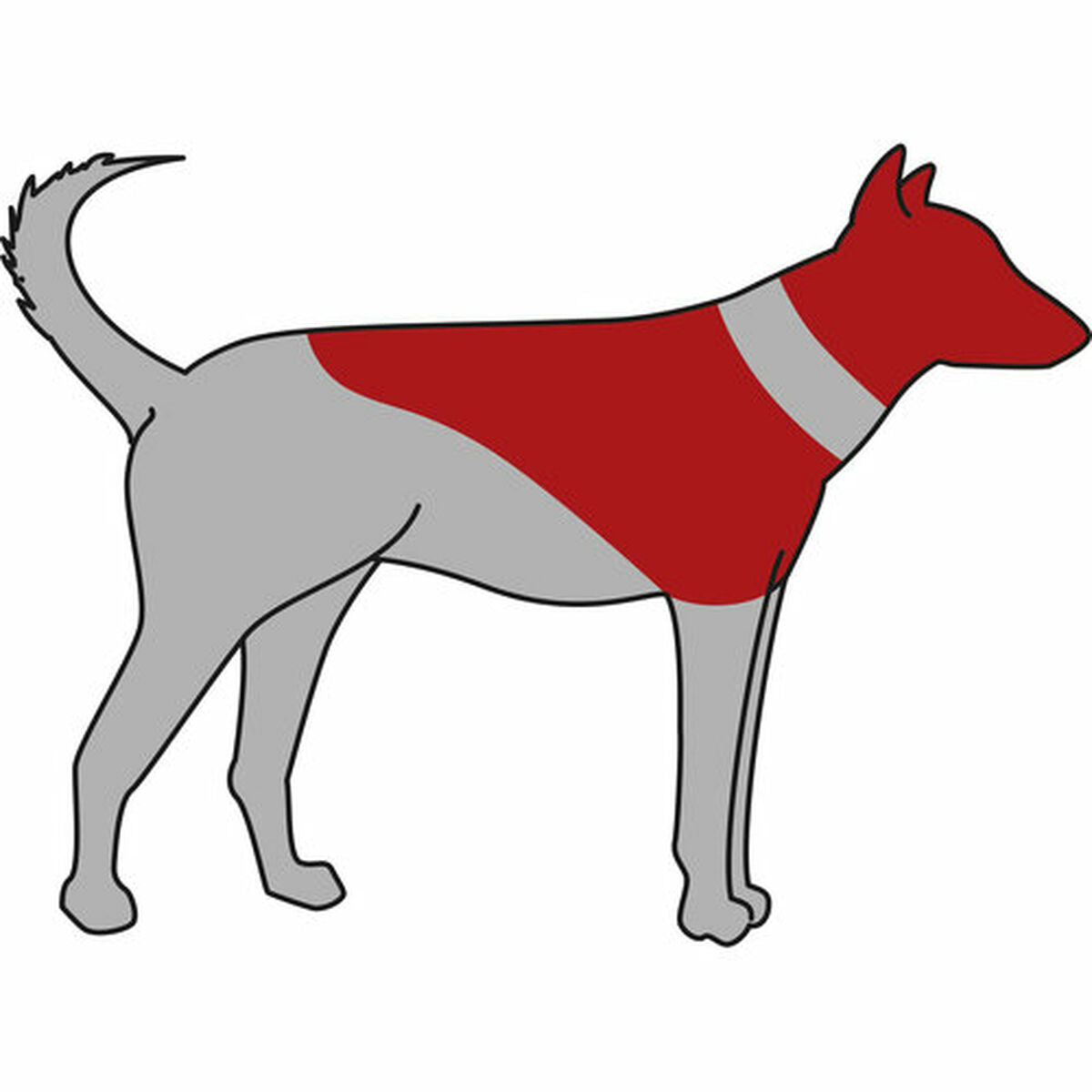 V6H264DBB3D808D903BA4861BAFCBC145E4R7440397P3