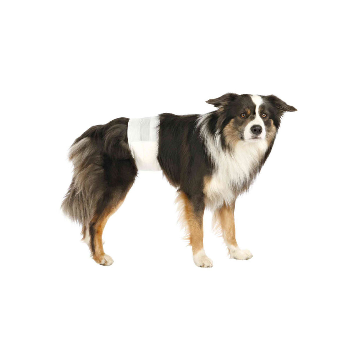 V6H03100ECB9C52B1E8154C4B677A2DBBE7R7443670P3