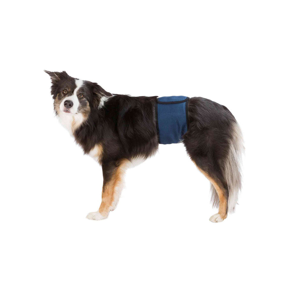 V6HFF6C5D8B6D0783C8DCD40D3C35E03A73R7444162P1