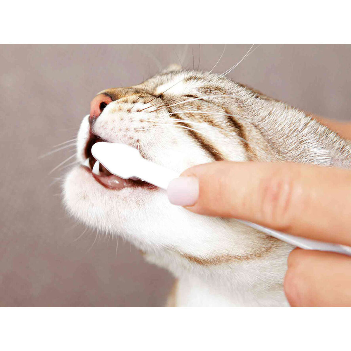 V5HBE484B6E8AA39332E4E3BCEFD784070CR7444250P8