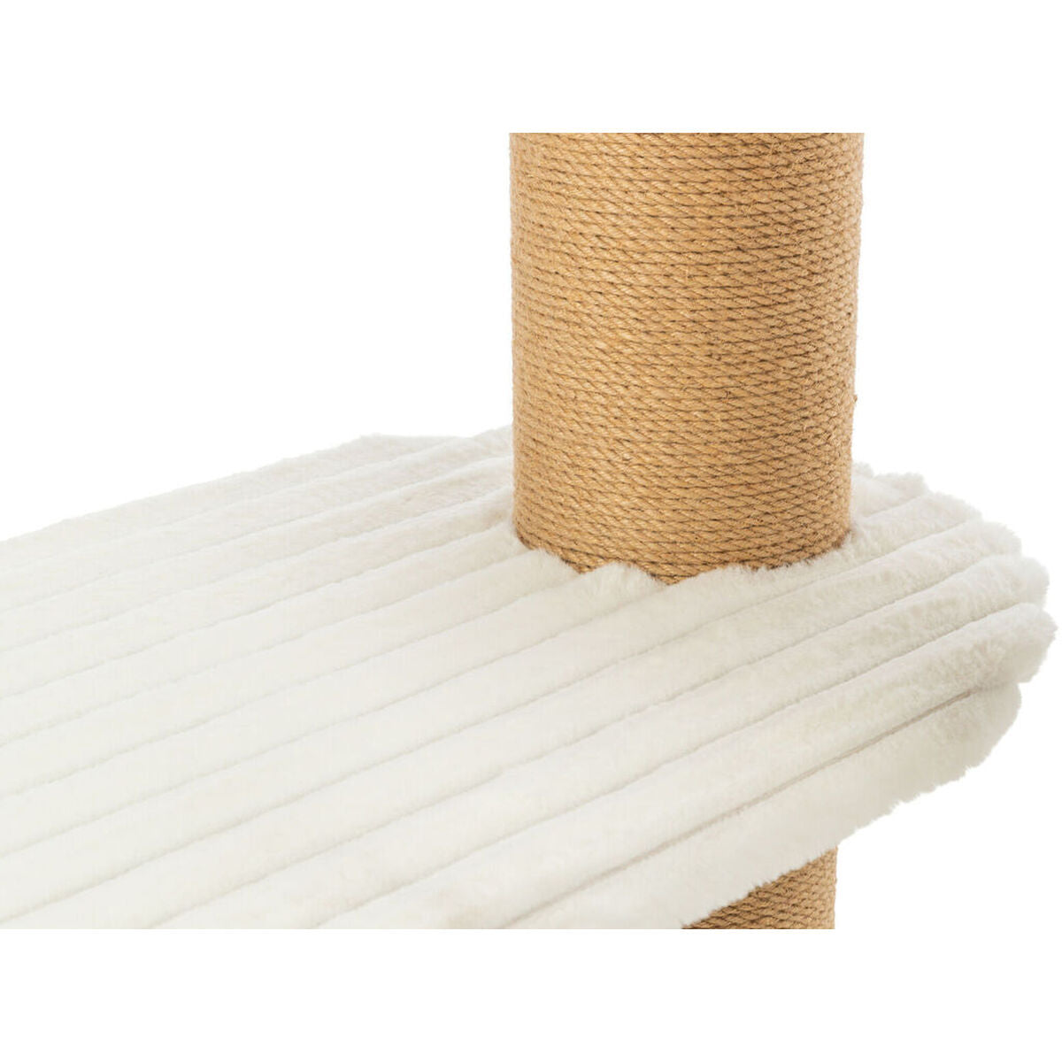 V4H1704603A757483597FE59ABF1999252DR7449433P5