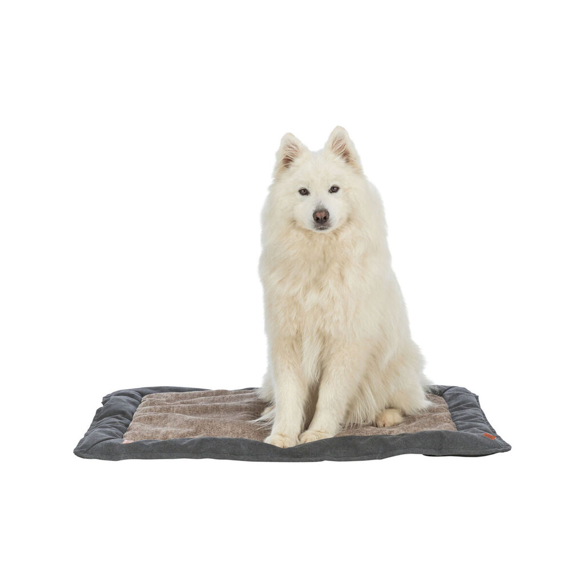 V3H5E04EC769C97A306FDFEFC25AD211E22R7519015P3