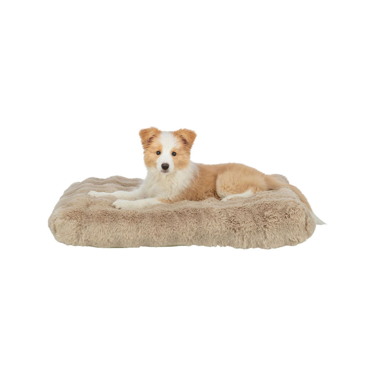 V4HCB16CE0D4824F32DF614297B8CAC6606R7463542P3