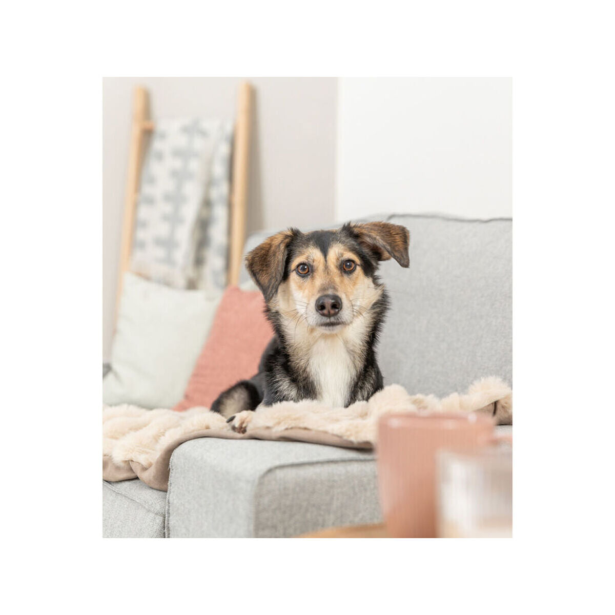 V4H640FA7C7317119D3F9F825F0868DADBFR7452677P3