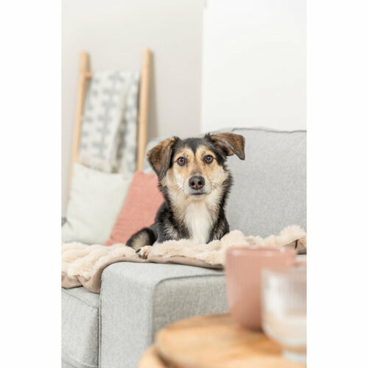 V4H71A58A47DA96D0433A9F5789F1845AA5R7449458P4