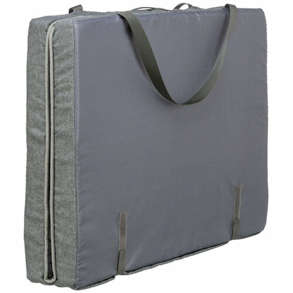 V4HAA857C1DC79D461B2568A528539A7B00R7463331P10