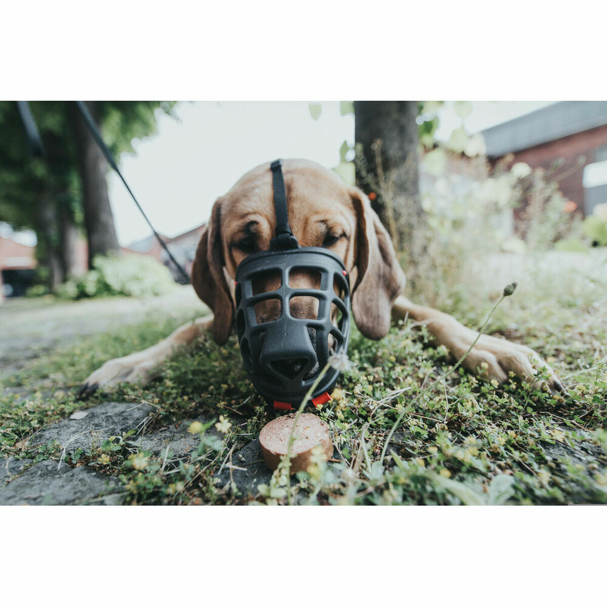 V9HD6ED2A24E27E91DE6A7551B111713AD1R4989128P2