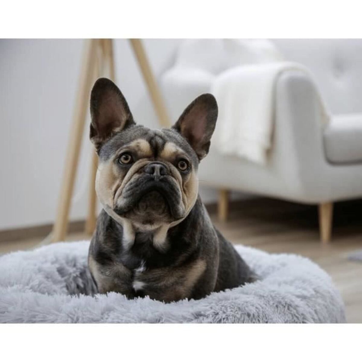 V2HFBB4FBC76834463B5BABCD5C6F0B176DR7479858P10