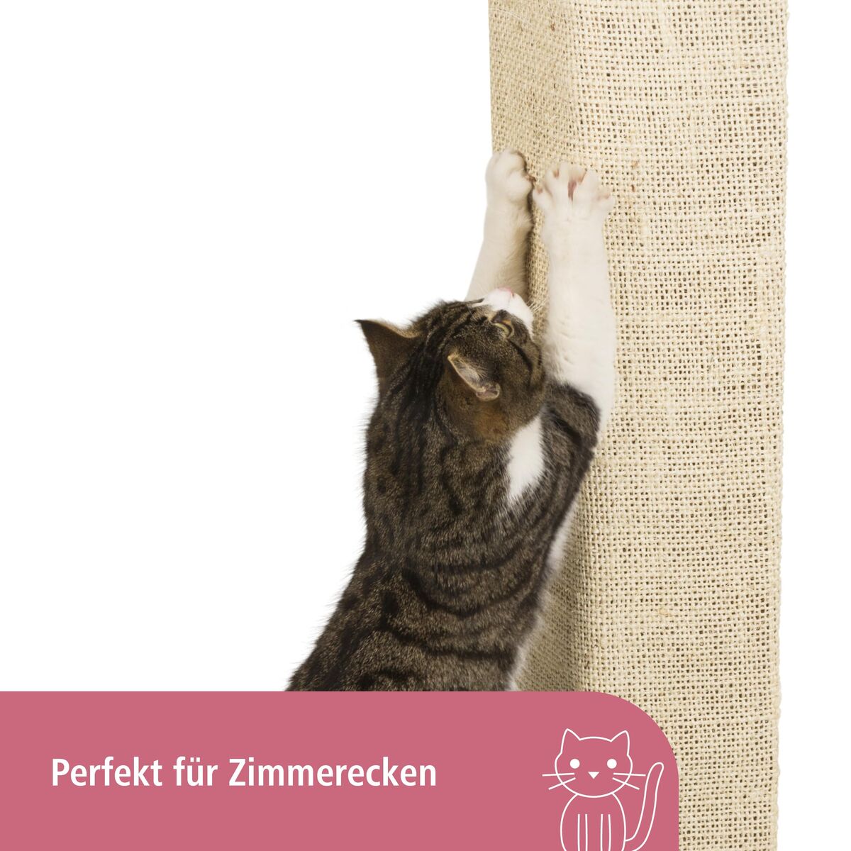 V2H72FA15E82C1793ECACAA49DF8E25CE5ER7479926P4