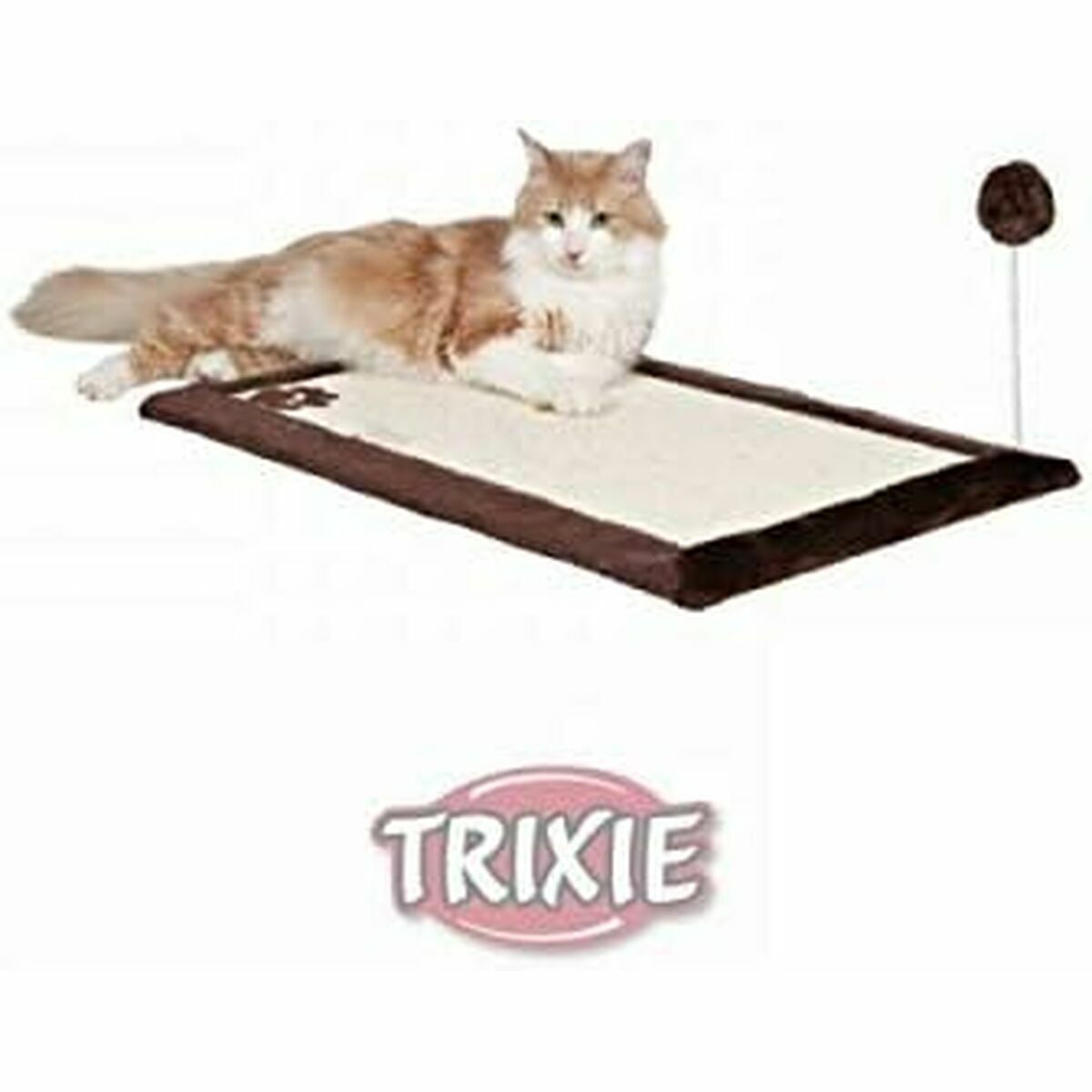 V3H04F52886DF0A998836AB4BAADC4D4B63R5769521P10