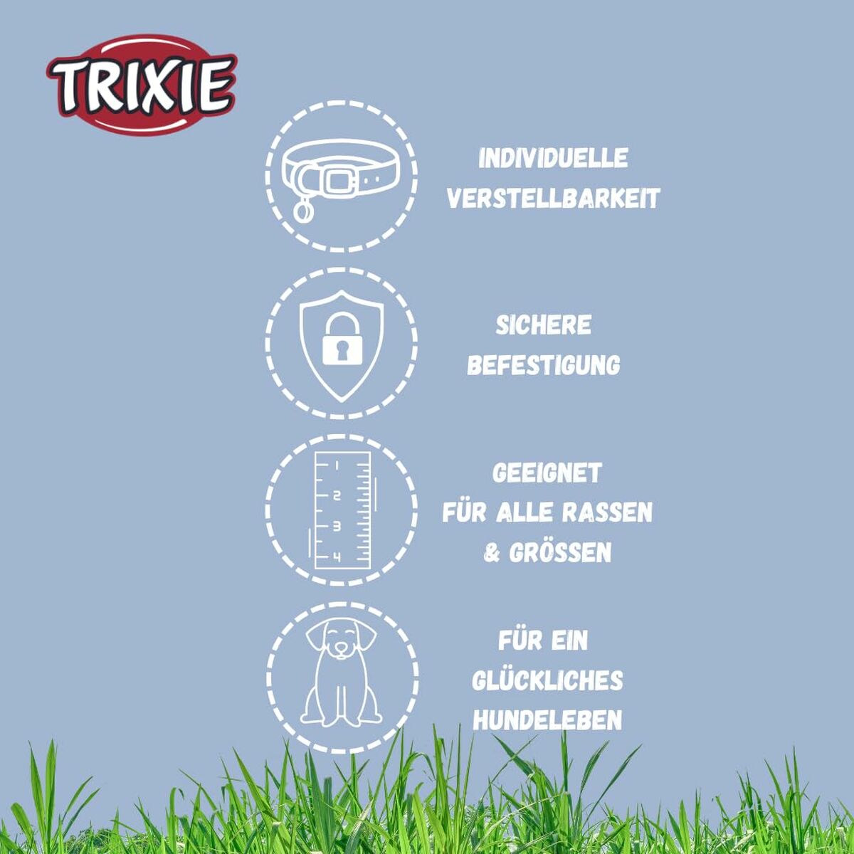 V6HED438BEB3210766BB4F3F2451F2D021AR5330719P6