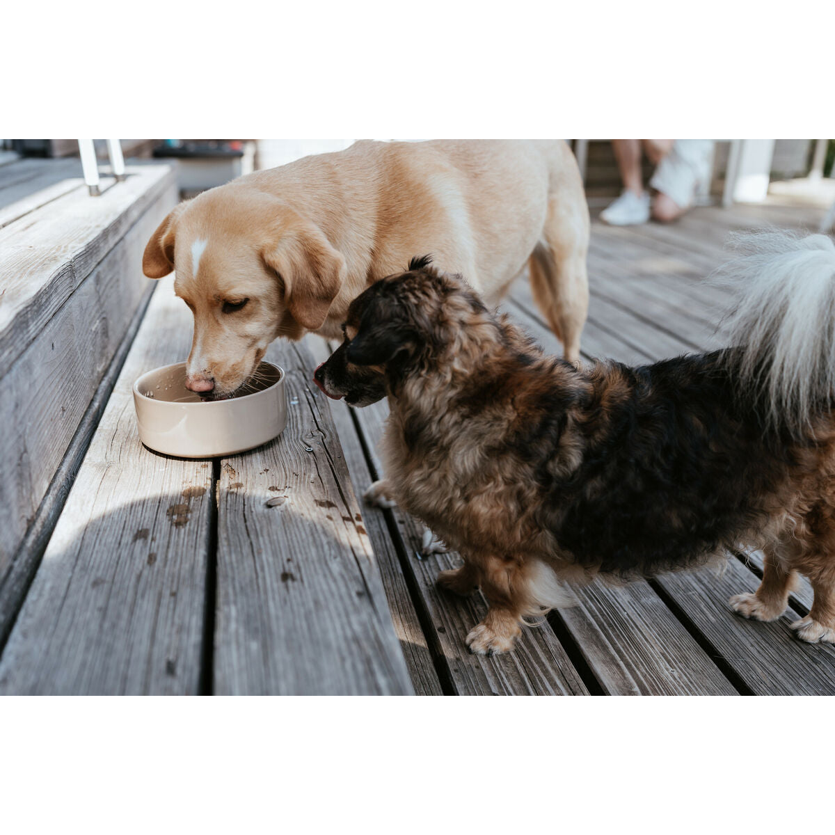 V5H15CA4A8184B12474465F927593094766R6456018P4