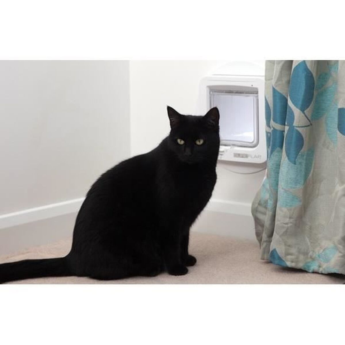 V11HA3F01913E9BC4032AADC96CA63E5DFEER7391565P3