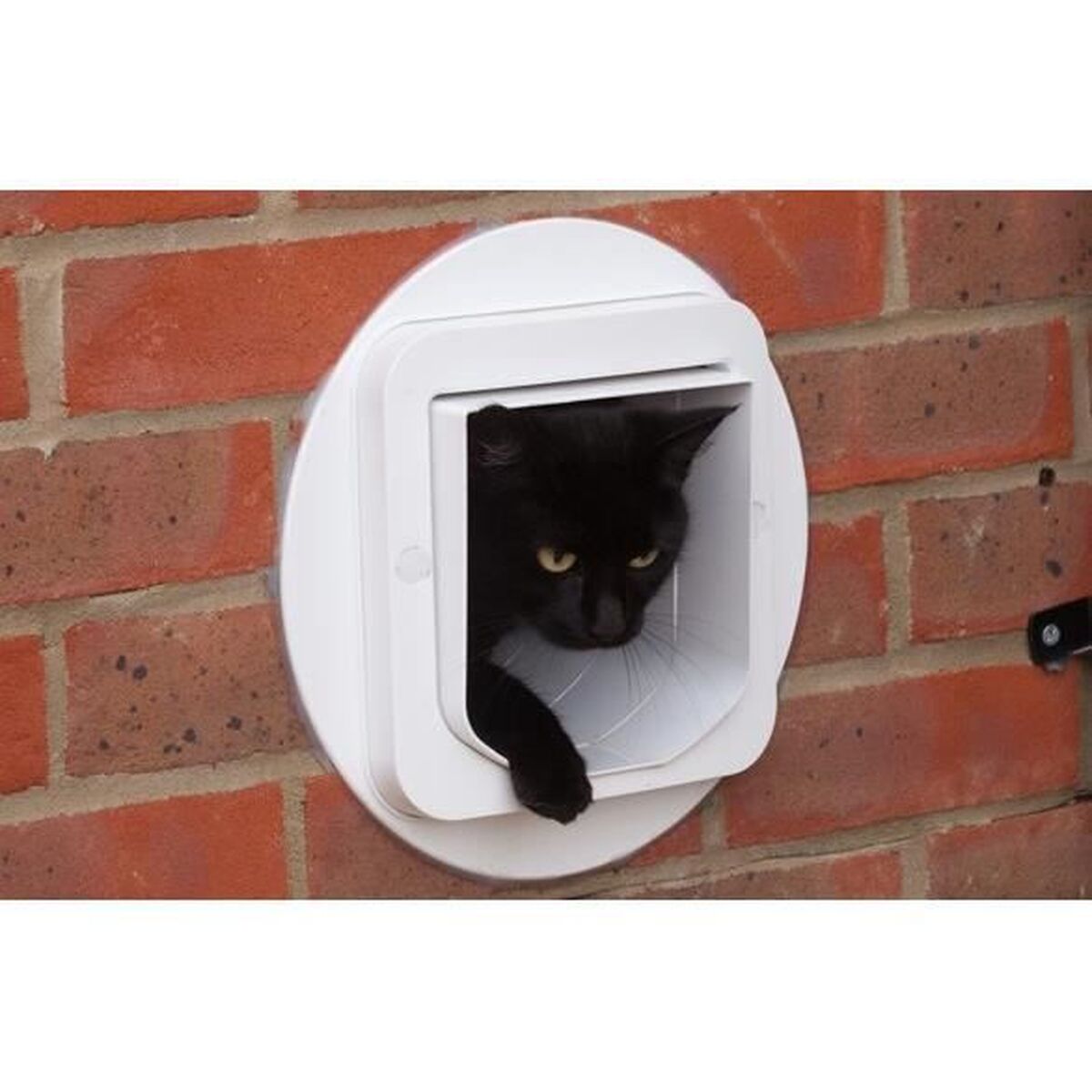 V11H07A723A9A58F60B09DA05E411A6A8711R7391567P4