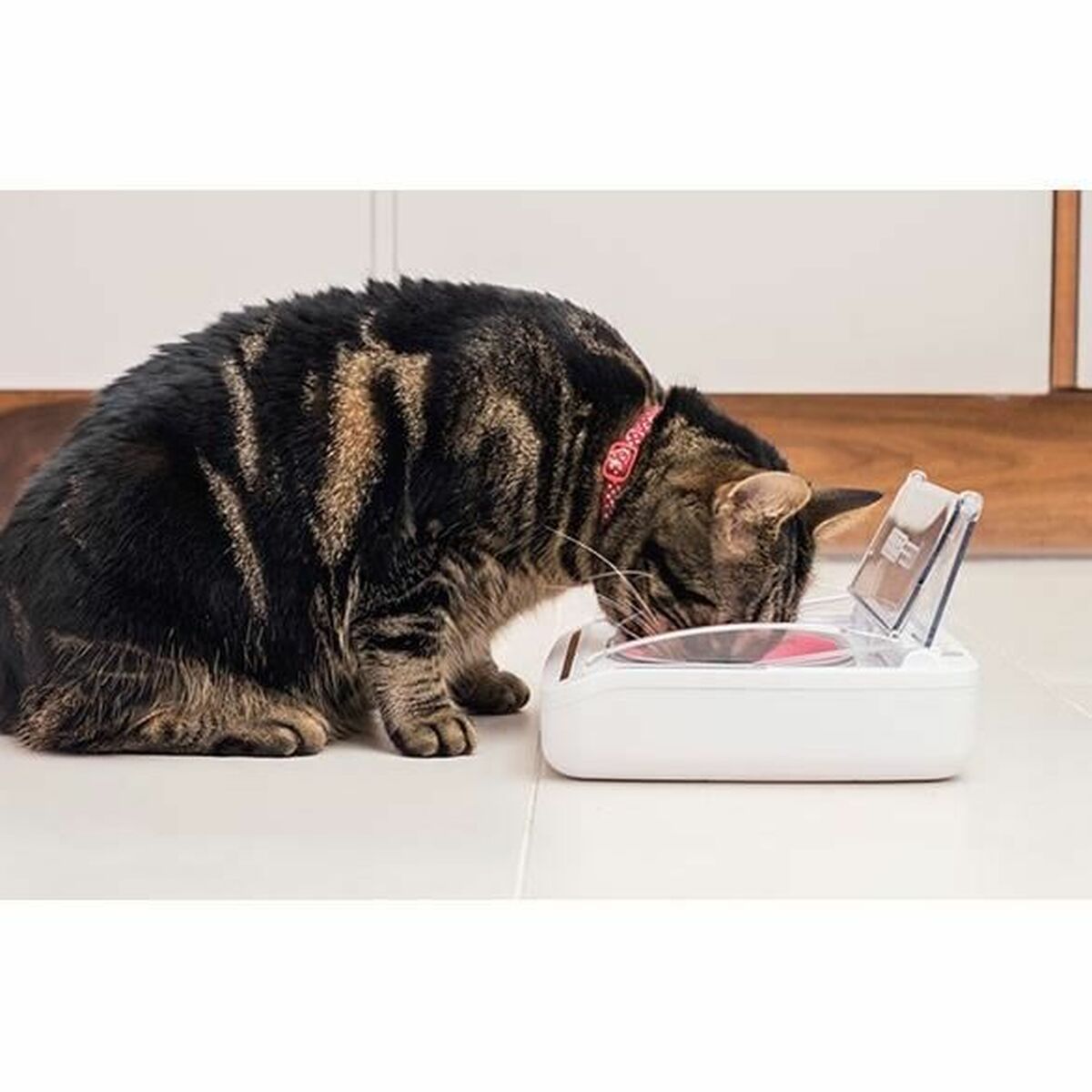 V9HBFF002E624DDE0A0D0F49C2F66C7F8FCR6670302P6