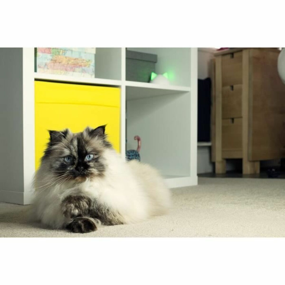 V7H2C682802A5FB8AEA6EA31CC503E1871BR5304065P6