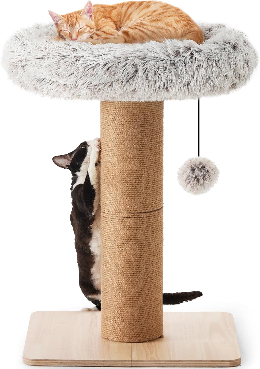 Kratzbaum für Katzen