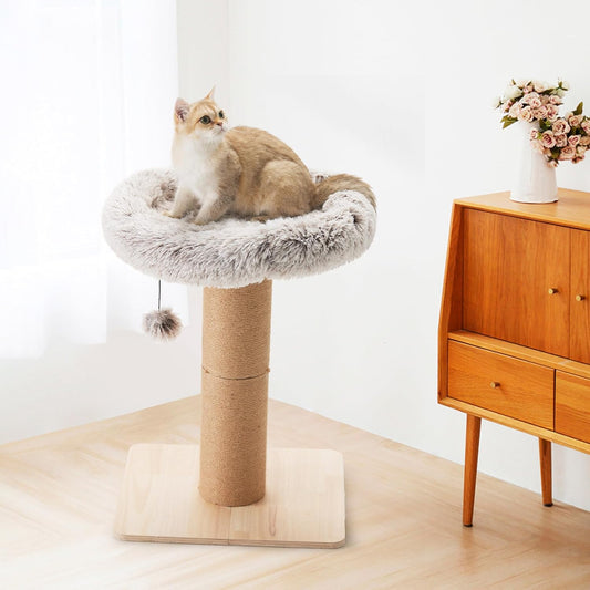 Scratching post for cats
