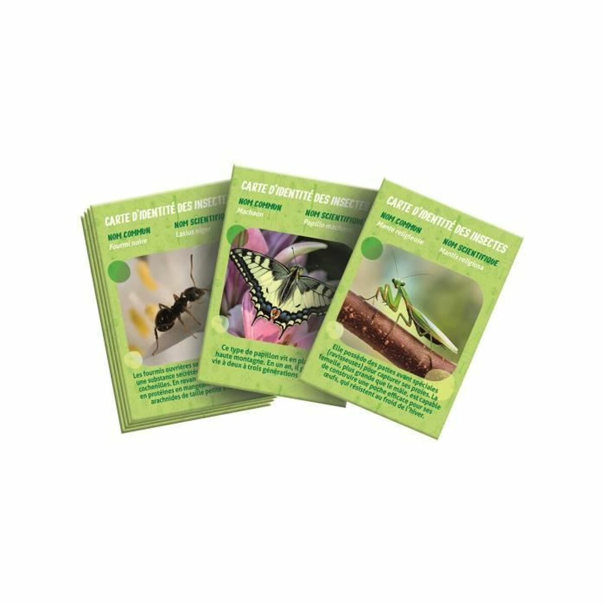 V4H7EEBD85E43C4D8ED8C0BAC6A351AD2F7R7025281P3