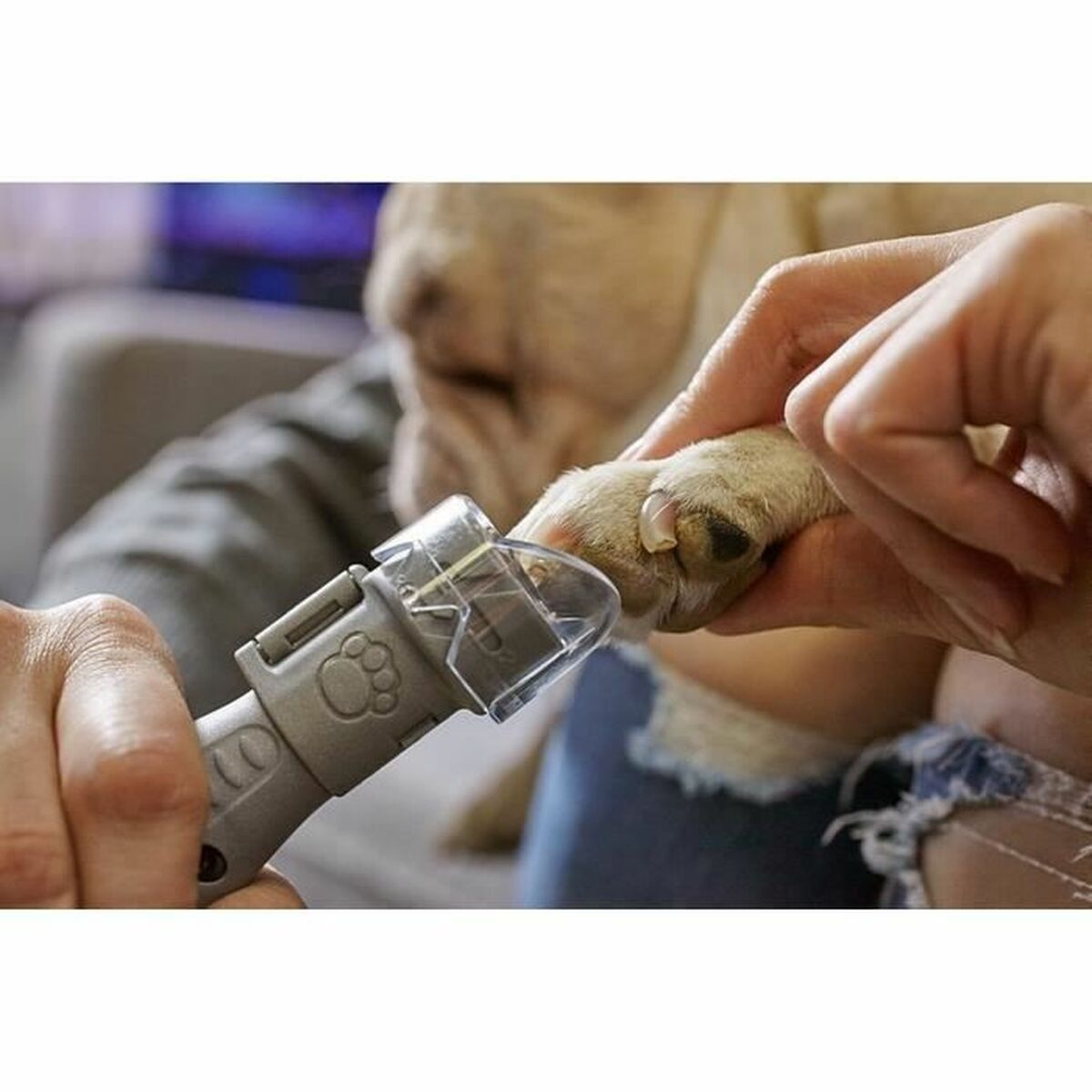 V7HF2307F831D1374BAF4B5A6458C803928R3744453P3