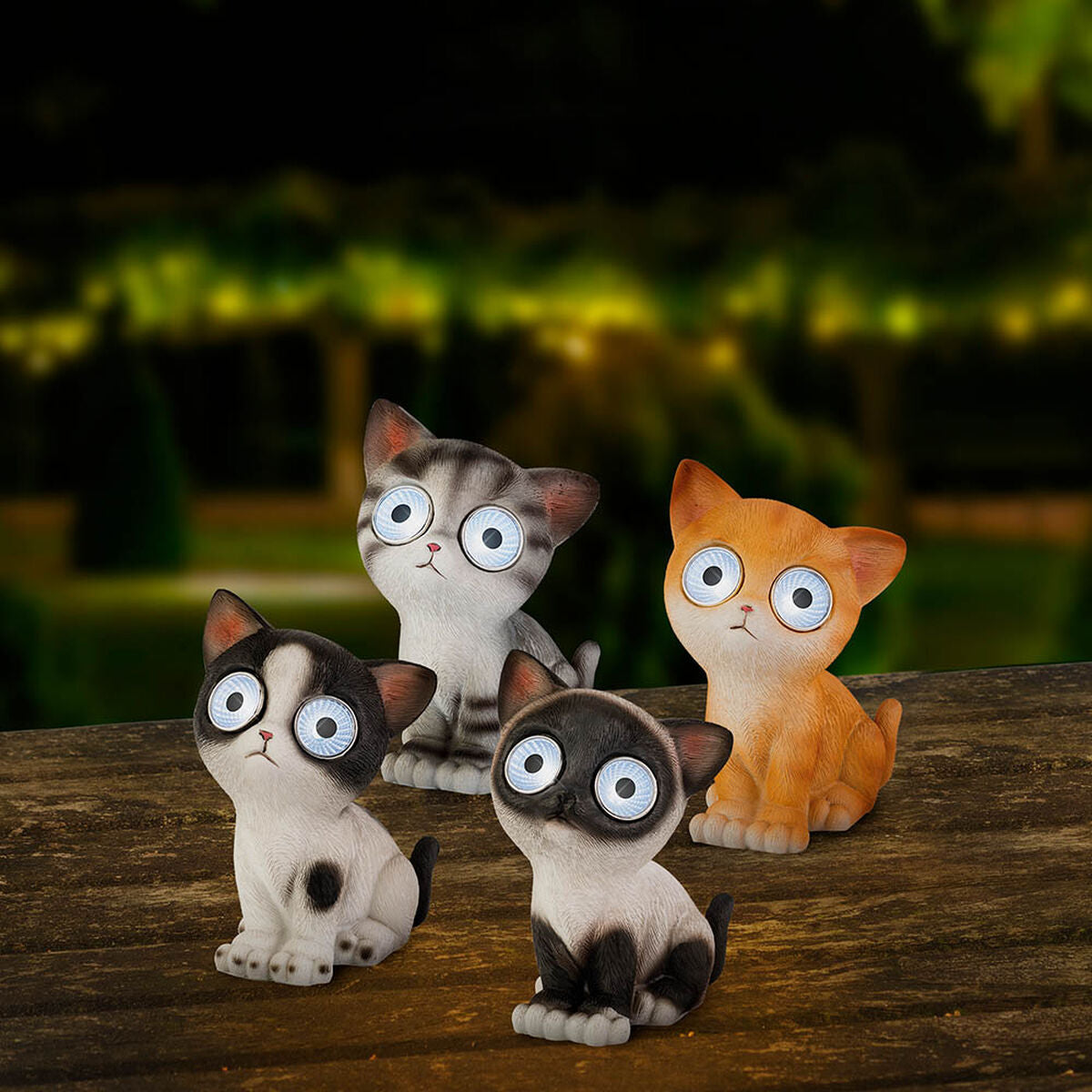 V6HCB6EDFC30D2337A3B19E130ABCD1A04DR5566356P6